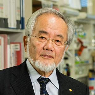 Yoshinori  Ohsumi, PhD