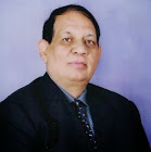 Shree Narayan  Singh