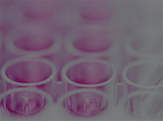 Regulatory Affairs for Biologics