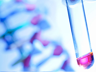 Early Phase Clinical Development Workshop