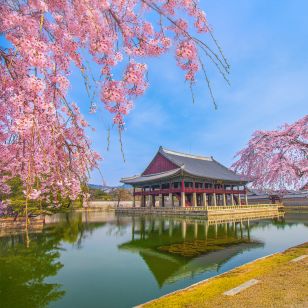 DIA Korea Annual Meeting 2026