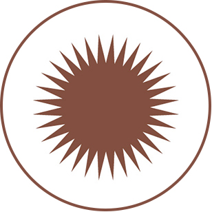 Hot Topics and Late Breaker