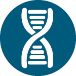 Development of Biologics & Biosimilars
