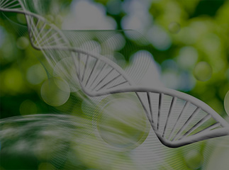 DIA Oligonucleotide-Based Therapeutics Conference 