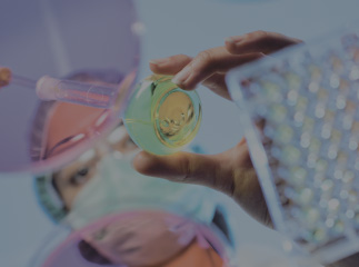 The 4th Drug Discovery Innovation 2018