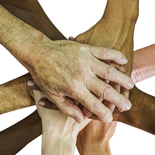 Institutionalizing Innovation