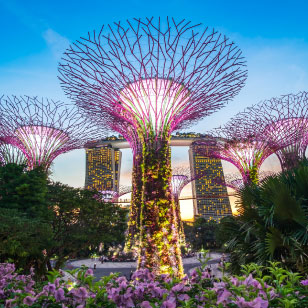 DIA Singapore Annual Meeting 2026