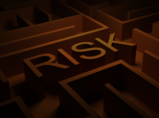 DIA Risk Management Workshop in Japan 2017