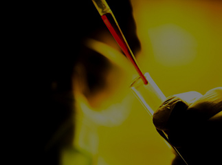 Pragmatic Approaches to Drug Safety Across the Premarketing and Postmarketing Continuum