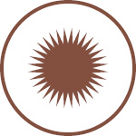 Hot Topics and Late Breakers